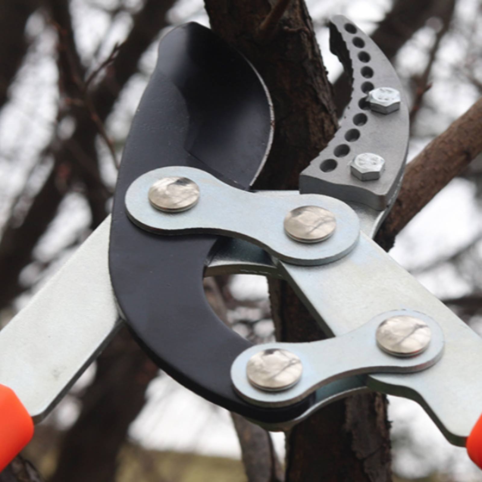 Telescopic Branch Pruners Shar - Garden Tools review and price