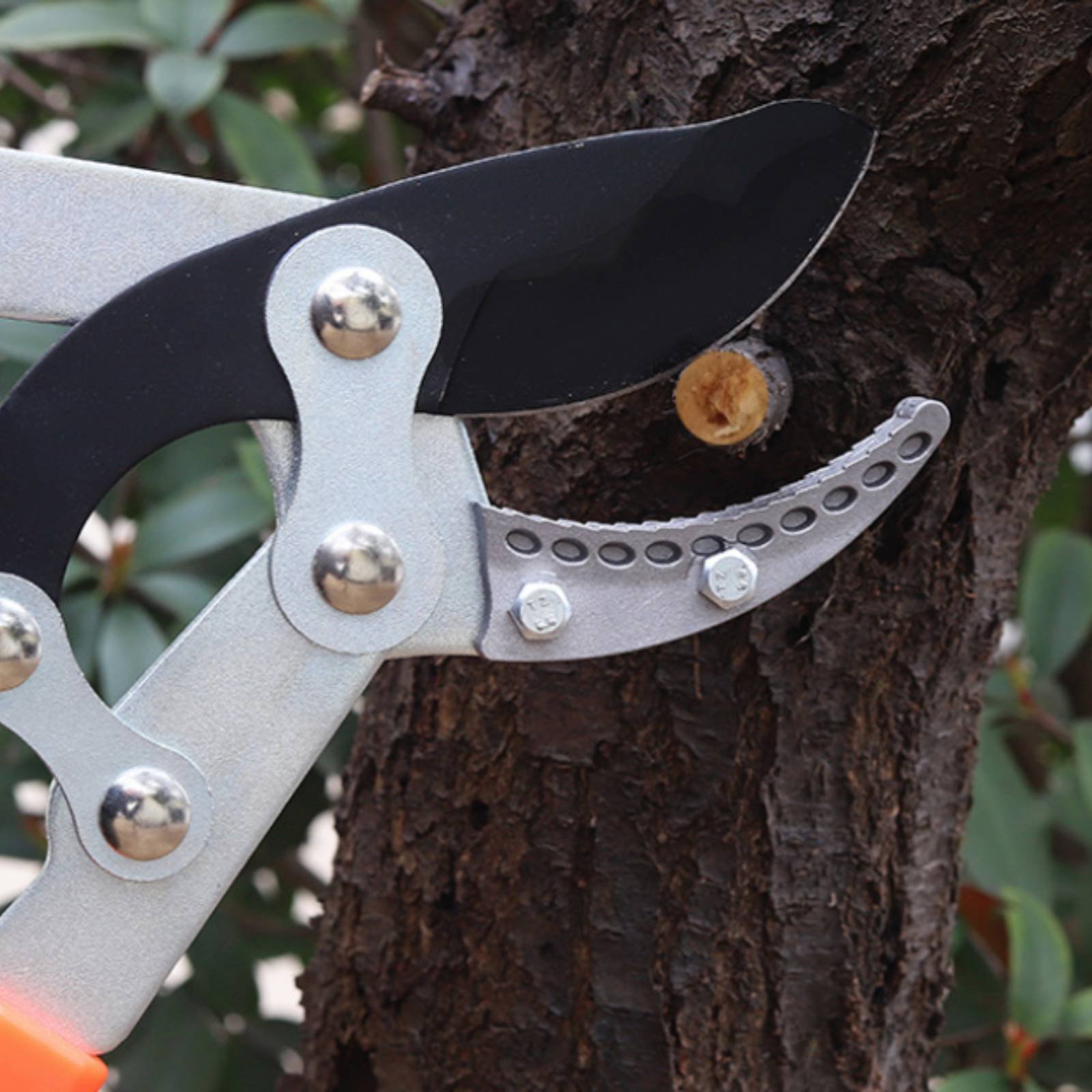 Telescopic Branch Pruners Shar - Garden Tools review and price
