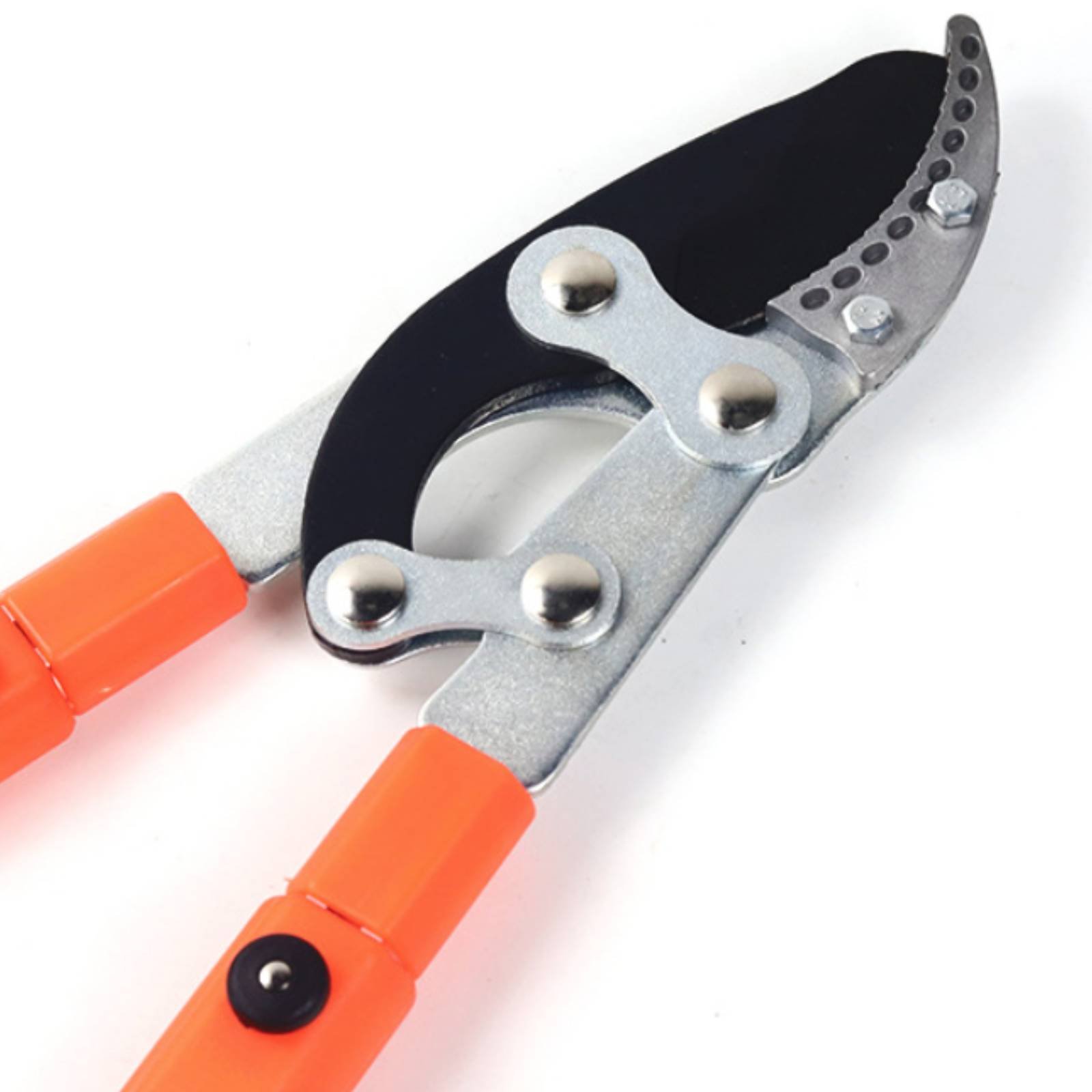 Telescopic Branch Pruners Shar - Garden Tools review and price